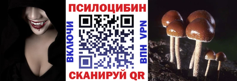 Галлюциногенные грибы Cubensis  купить наркотики сайты  Себеж 